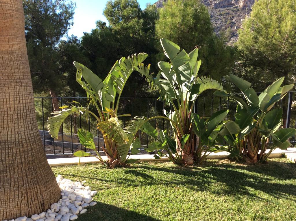 Olivos Holiday Home 알테아 객실 사진