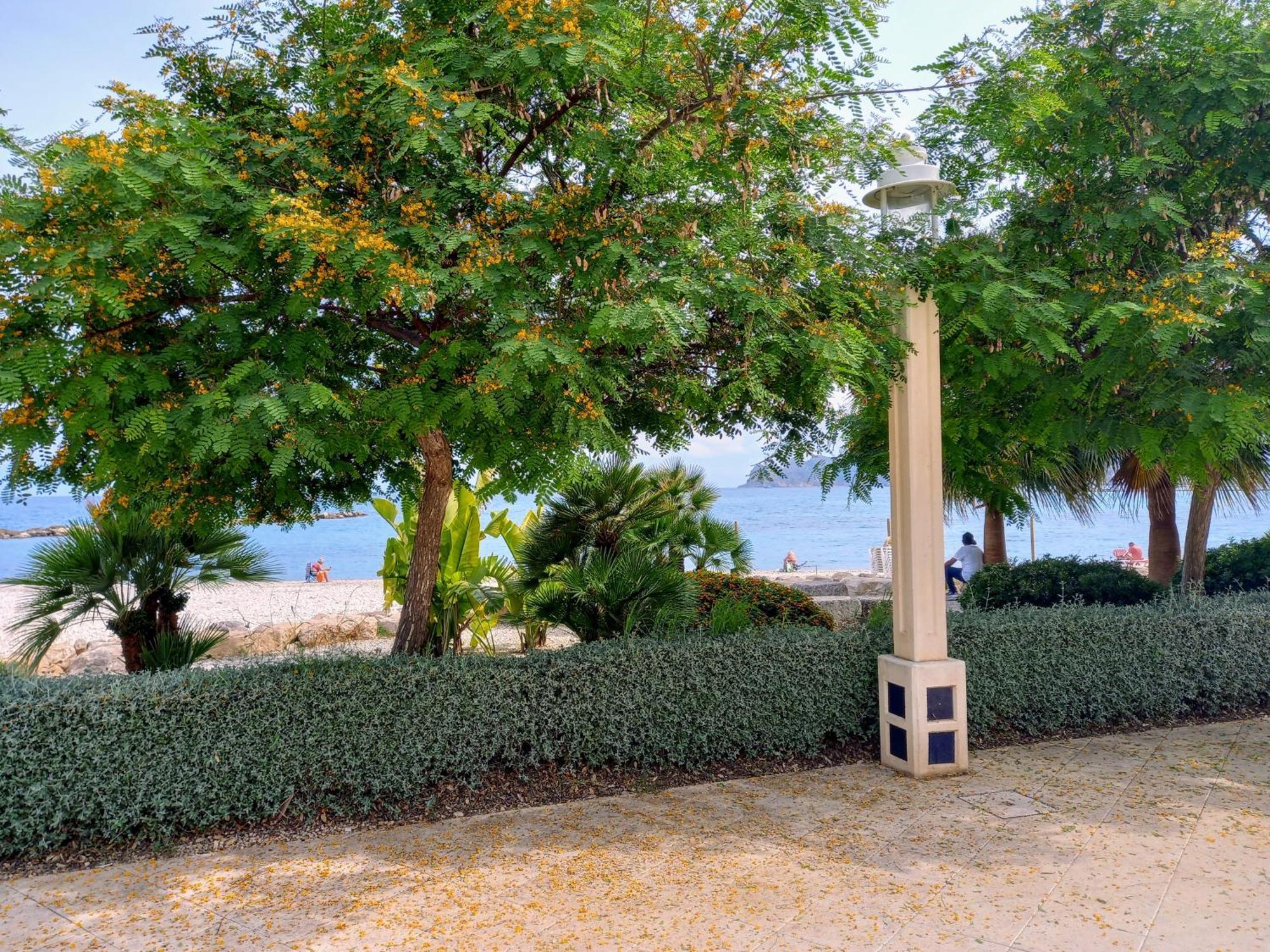 Olivos Holiday Home 알테아 외부 사진