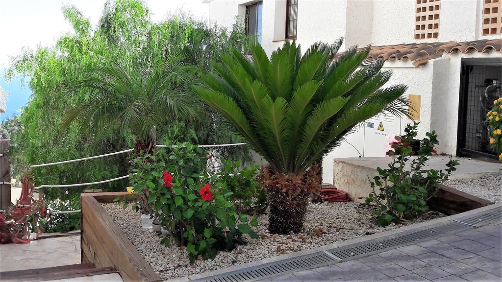 Olivos Holiday Home 알테아 외부 사진